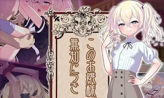 【SLG/AI汉化/PC】 懵懂无知的大小姐 このお嬢様、無知につき [PC+1.1g]-V次元