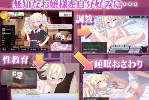 图片[2]-【SLG/AI汉化/PC】 懵懂无知的大小姐 このお嬢様、無知につき [PC+1.1g]-V次元